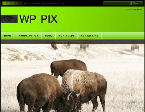 WP Pix Free Theme