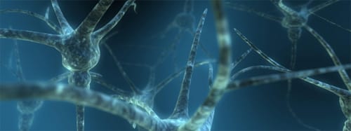 Neuron.jpg