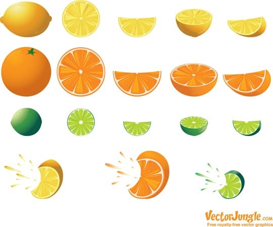 FREE-CITRUS-VECTORS FREE-CITRUS-VECTORS