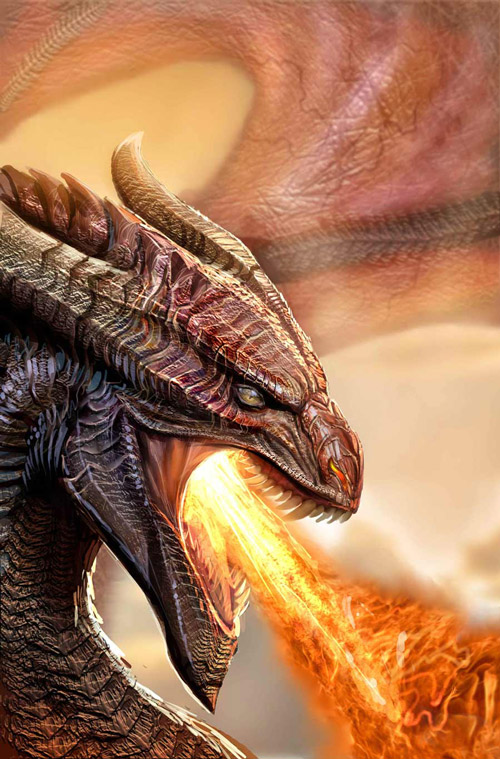 Dragon Illustration