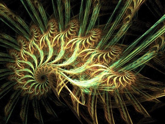 Fractal Art