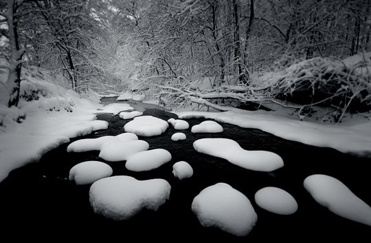blackandwhite