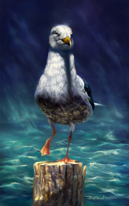 Animal Artworks