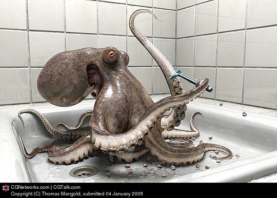 Animal Artworks