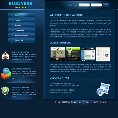 templatemo_091_business
