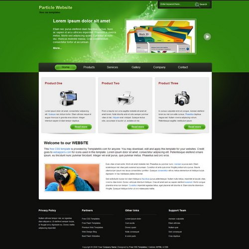 templatemo_204_particle