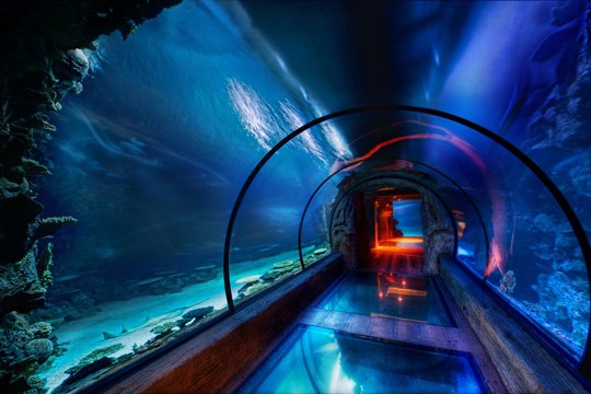 Underwater