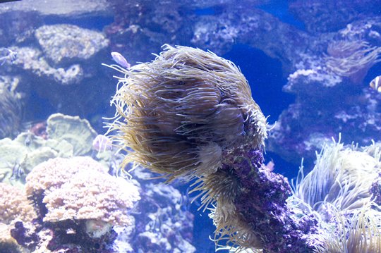 Underwater
