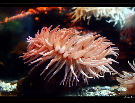 Underwater