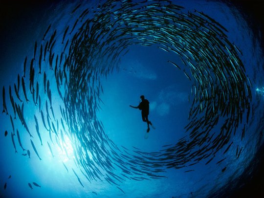 Underwater