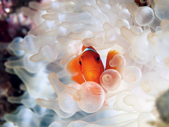 Underwater