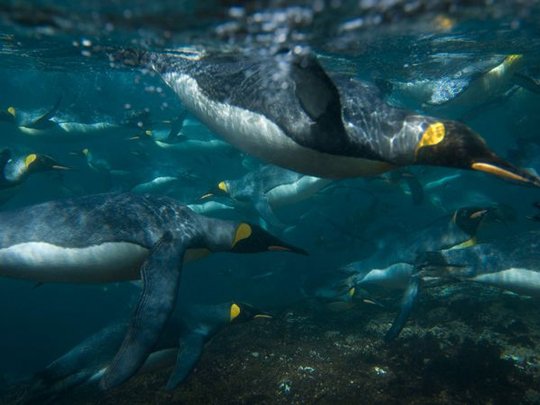 Underwater