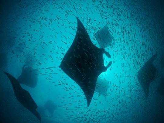 Underwater