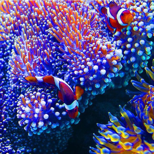 Underwater