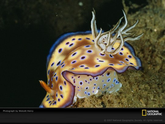 Underwater