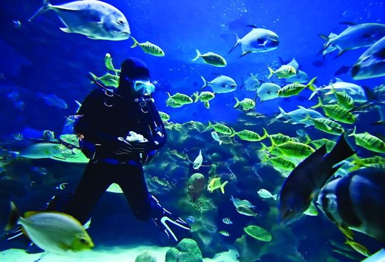 Underwater