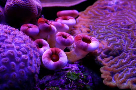 Underwater
