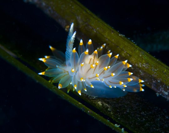 Underwater