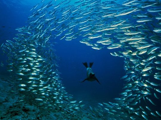 Underwater