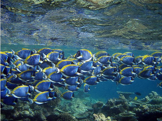 Underwater