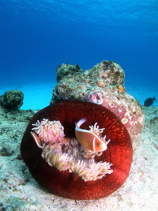 Underwater