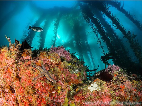 Underwater