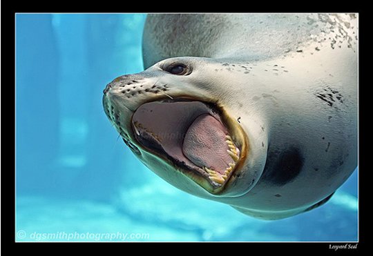 Underwater