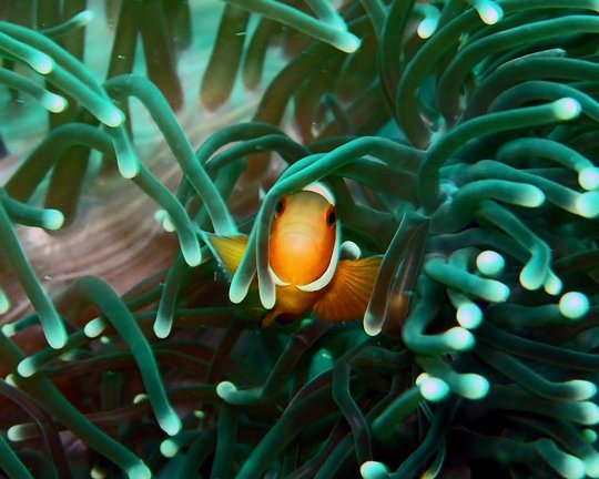 Underwater