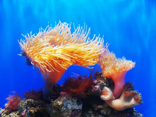 Underwater