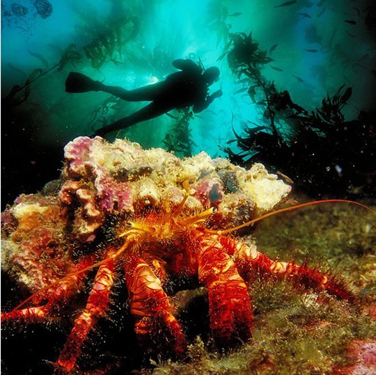 Underwater
