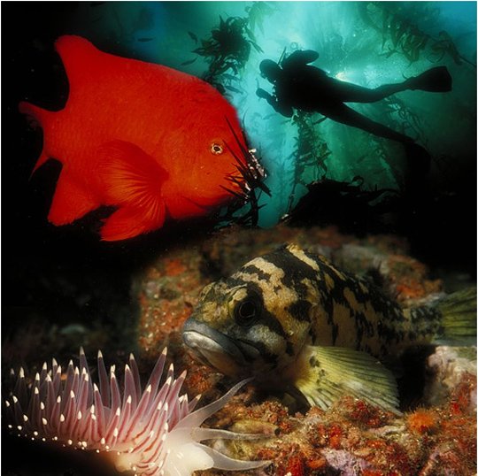 Underwater