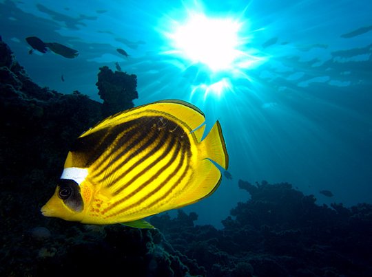 Underwater