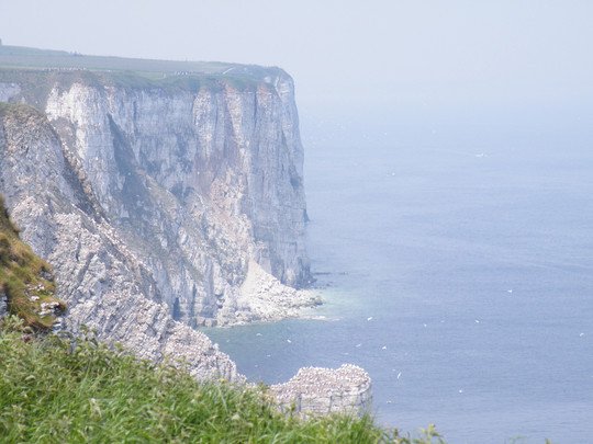 geology