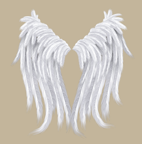  create a set of angel wings which can be added to your illustrations