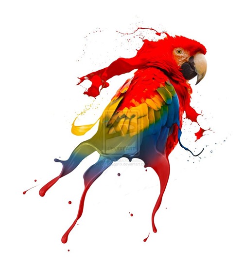 Creative-Photography-creative-parrot