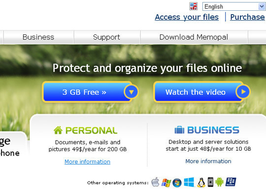 Aug 13, 2012. provider of Online storage (remote file server), FTP Server hosting. Free service members can also use it but with certain restrictions. for.