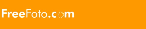 Largest Collections Of Free Photographs For Non-Commercial Use On The Internet