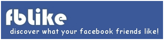 FBlike: An Easy Way To Find What Your Facebook Friends Like and Discover New Trends 1