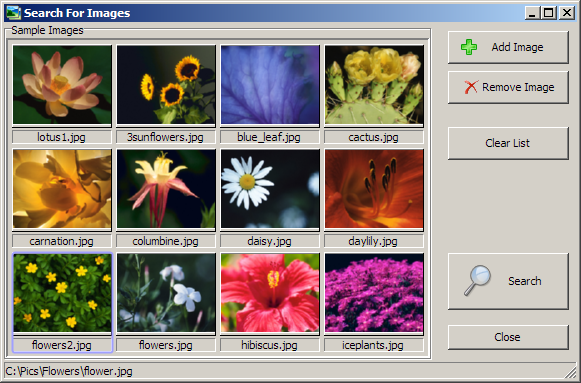 Visual Similarity Duplicate Image Finder Giveaway 3