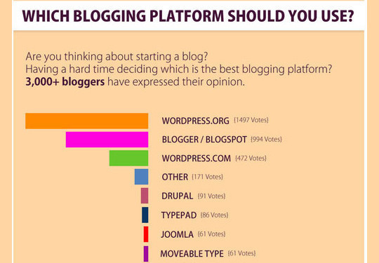 14 Insightful Infographics To Demonstrate The State Of Blogosphere 12