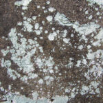 textures31