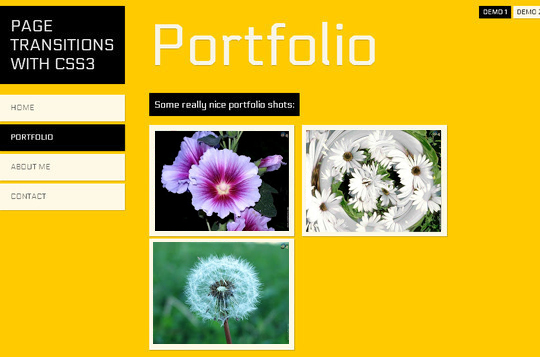 37 Fresh jQuery Image, Content Sliders And Slideshows 7