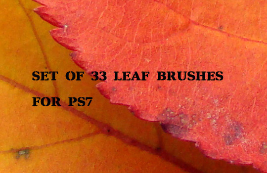 19 Free Photoshop Leaf Brush Sets 17