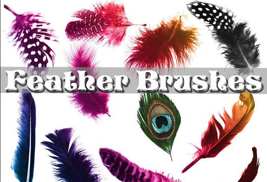 24 Free Photoshop Feather Brushes For Download 9