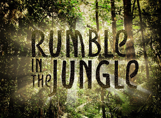 45 New High-Quality Free Fonts For Designers 8