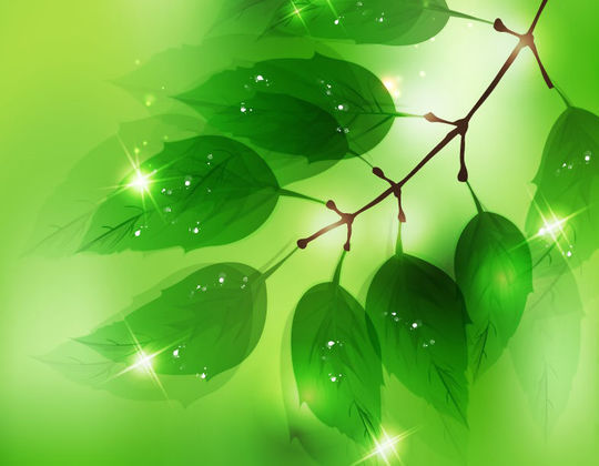 20 Beautiful Vector Trees And Leaves For Designers 17