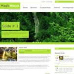 wordpressthemes45