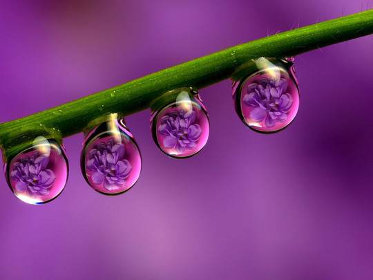 40 Raindrops Wallpapers For Your Desktop