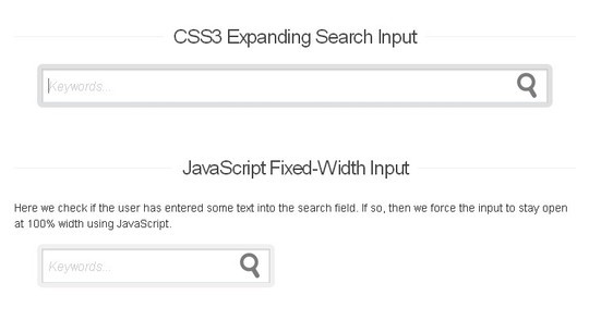 Free Collection Of HTML5, CSS3 & jQuery Search Forms 16
