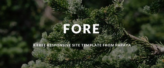 38 Useful Responsive Bootstrap Templates, Skins And Resources 8